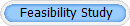 Feasibility Study